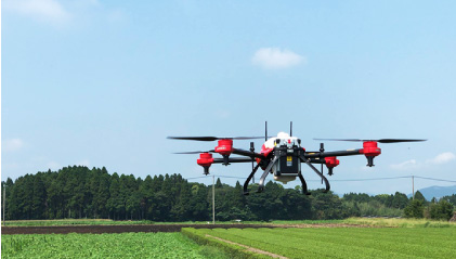 A picture of a drone spraying pesticides in a rice field
